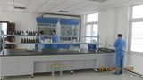 Synthetic laboratory